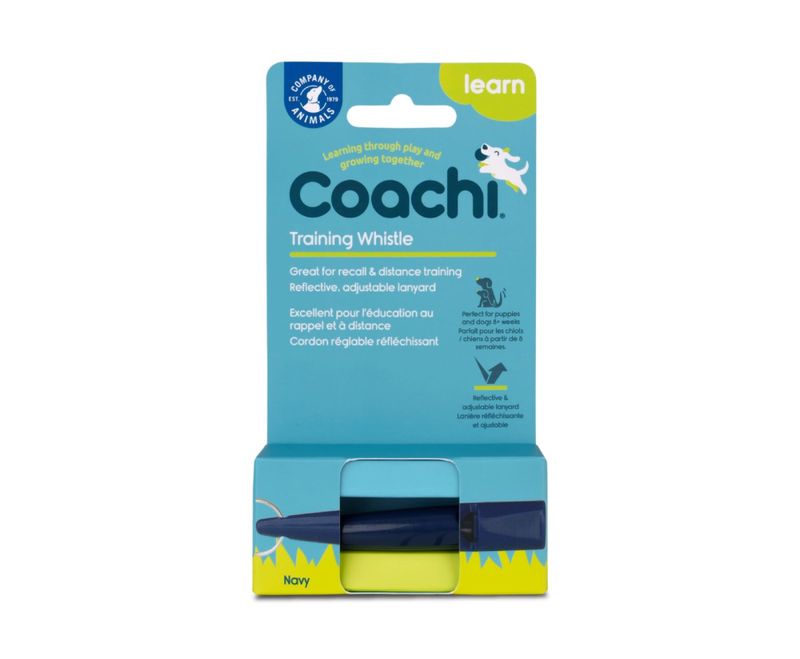 Fløyte Coachi Training
