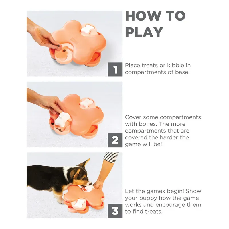 Ninas Valp Tornado Level 1