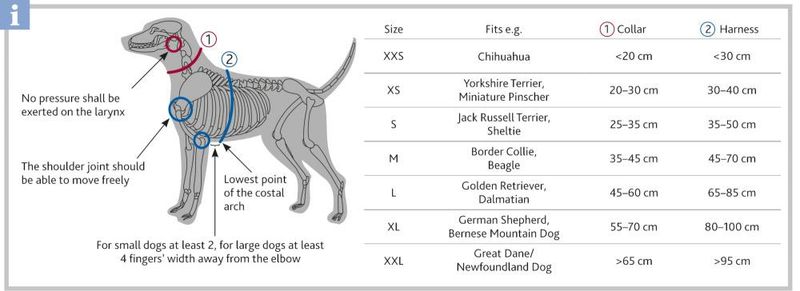 Hundesele Premium M/L