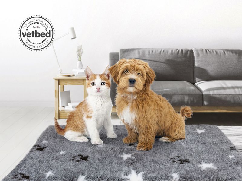 VetBed Nonslip Grå Stars and Paws 150x100cm