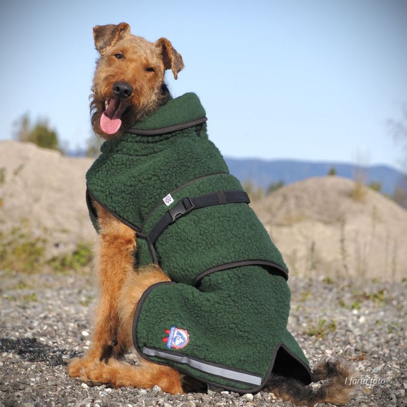 CANELANA Selva Ulldekken Hund Terrier