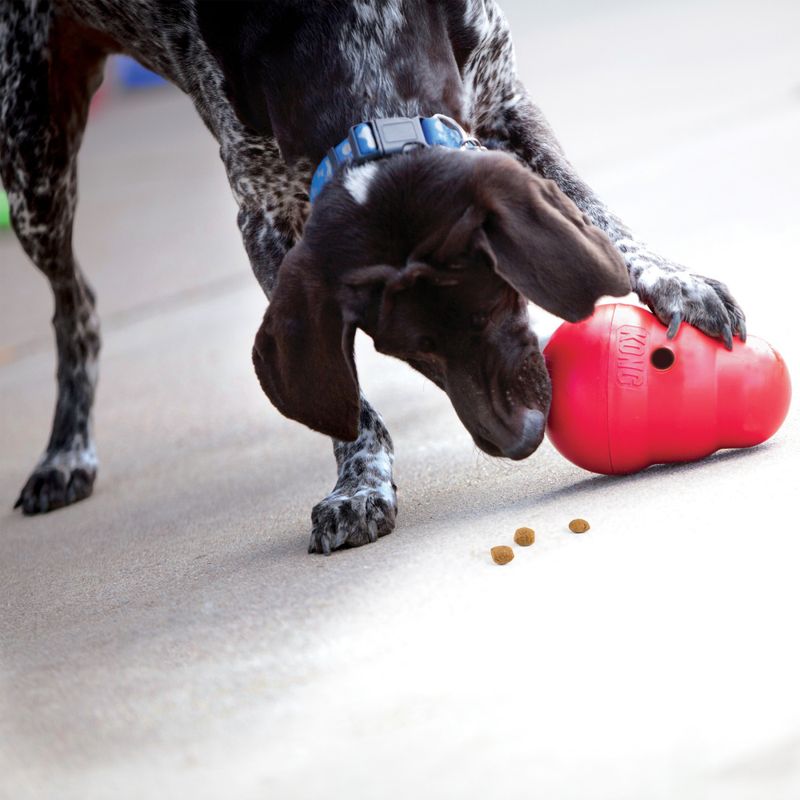Hundeleke KONG Wobbler