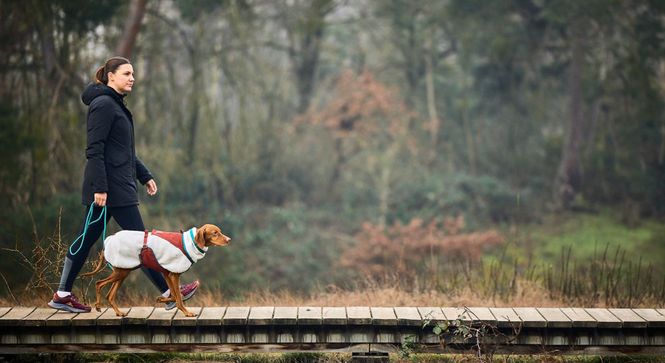 Hovedbilde Non-stop dogwear Trekking rope leash