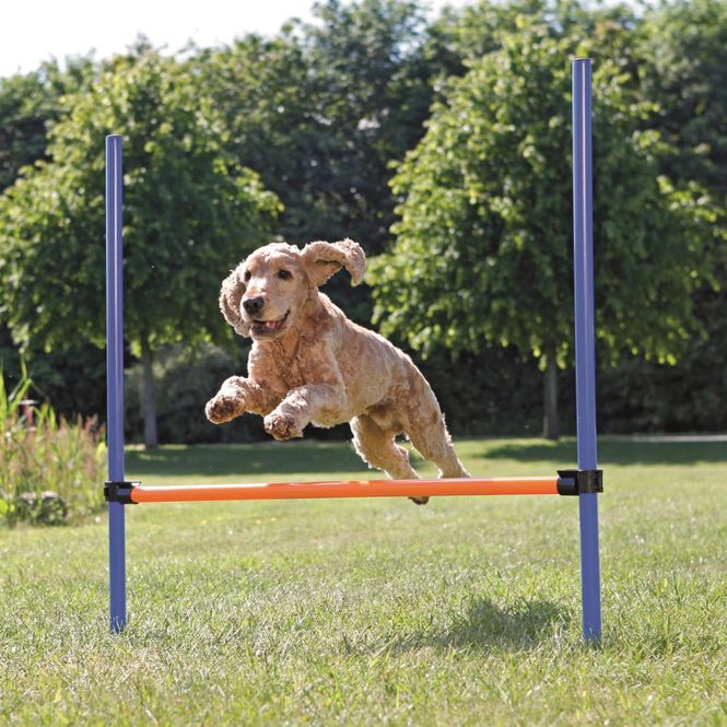 Hovedbilde Agility Hinder 1,29m x 1,15m 