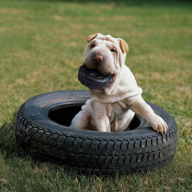Hovedbilde Hundeleke KONG Extreme Tyres M/L