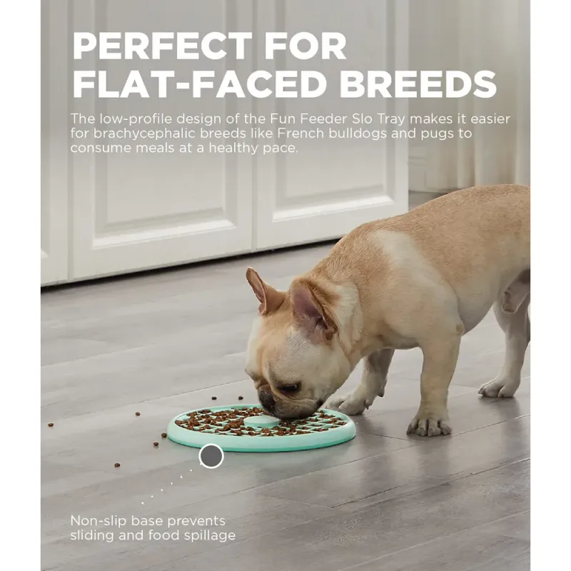 Oh Fun Feeder Slow Tray Mint Large