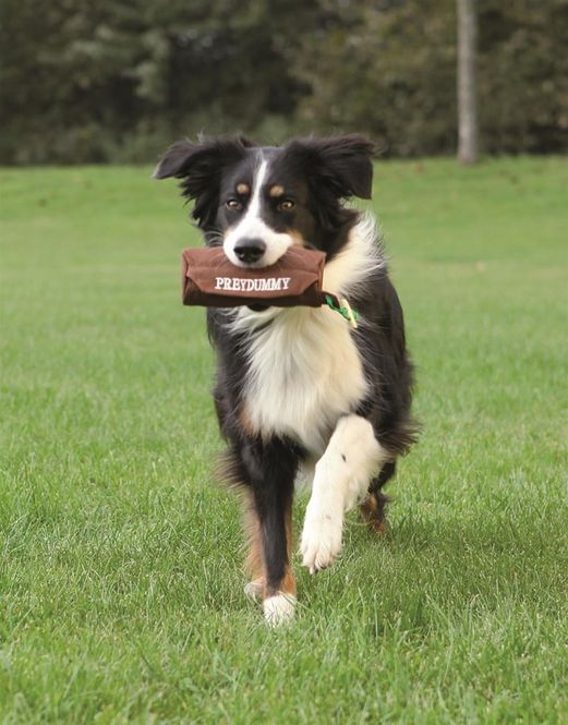 Hovedbilde Dummy Ø6x14cm Brun