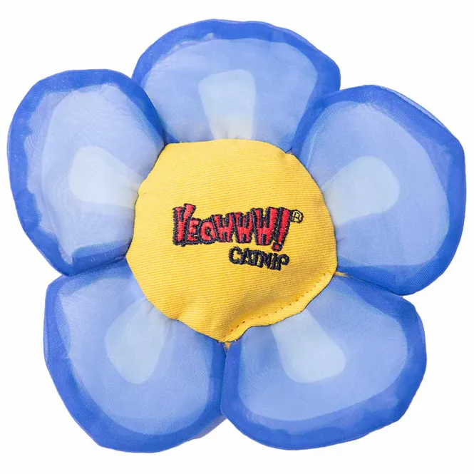 Hovedbilde Yeowww kattemynte blomst 14x14x2,5cm