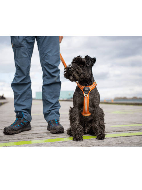 Hovedbilde DOG Copenhagen Comfort Walk Air Sele