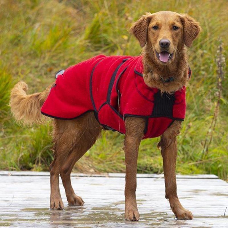 CANELANA Lana rød - tynt ulldekken Terrier