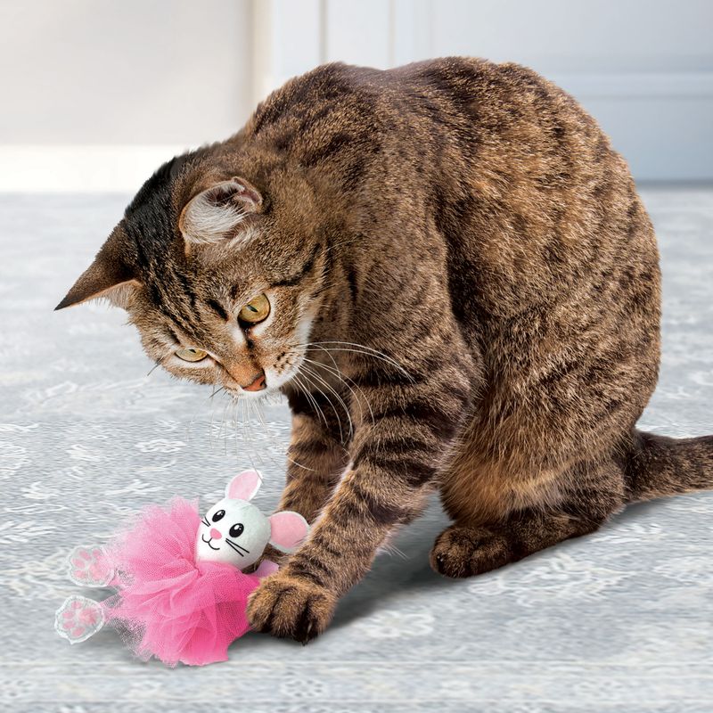 Katteleke KONG Flingaroo Tutu