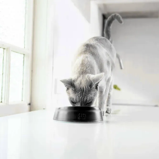 Hovedbilde Lickimat Cat Oh Bowl 