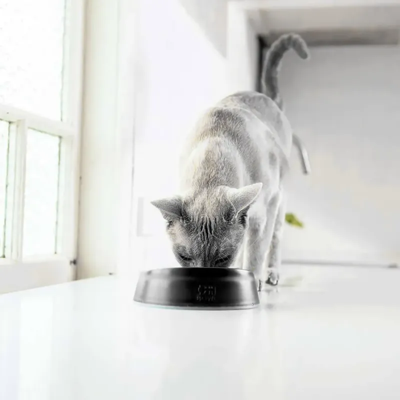 Lickimat Cat Oh Bowl 