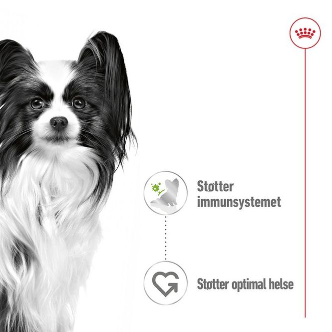 Hovedbilde Royal Canin Våtfor X-small Adult WET 85g