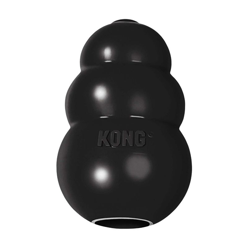 Hundeleke KONG Extreme