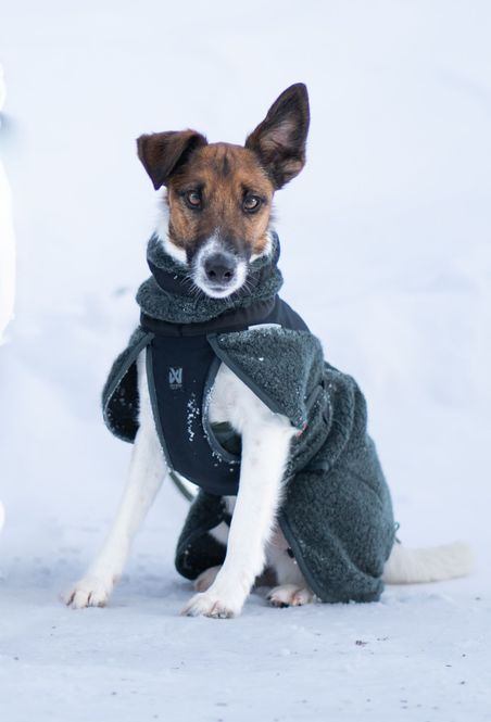 Hovedbilde Non-stop dogwear Wool dog jacket dekken